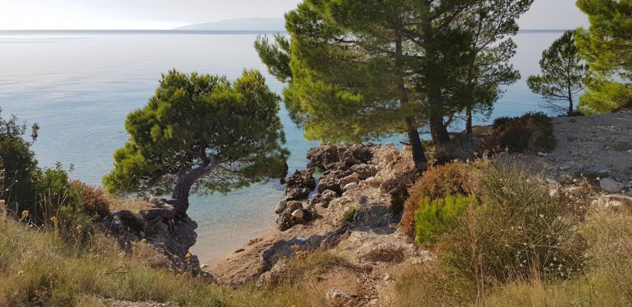 Old Town Studio Apartments Makarska Bagian luar foto