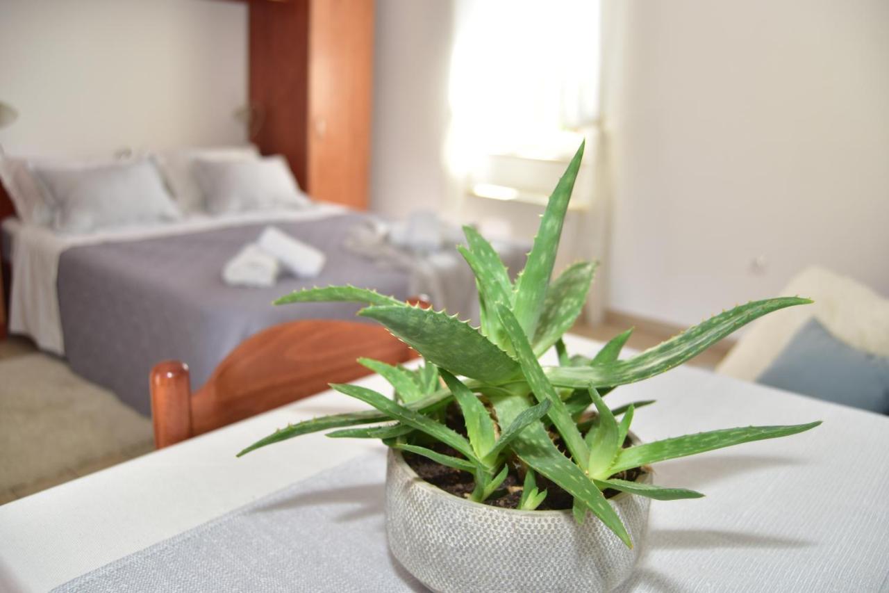 Old Town Studio Apartments Makarska Bagian luar foto